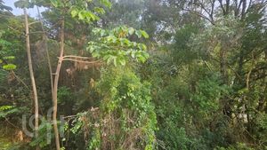 Image 16 - 755873