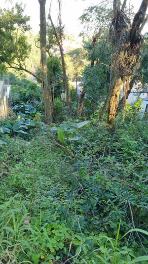 Image 5 - 7713