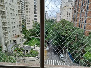 Image 4 - 806447