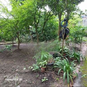 Image 32 - 807796
