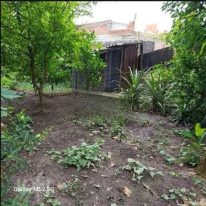 Image 33 - 807796