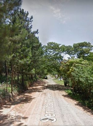 Image 8 - 809979