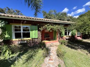 Image 19 - 810018