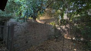 Image 5 - 810318