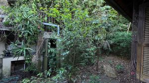 Image 4 - 810318