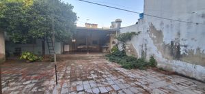 Image 19 - 811986