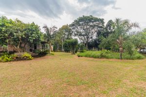 Image 3 - 812251