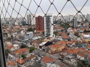 Image 17 - 812511