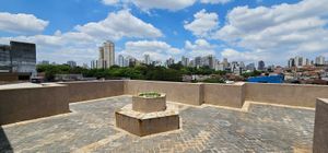 Image 13 - 812558