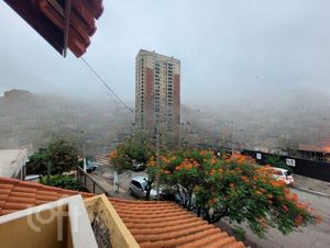 Image 13 - 813619