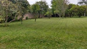Image 1 - 813848