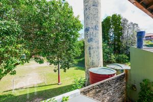 Image 24 - 814118