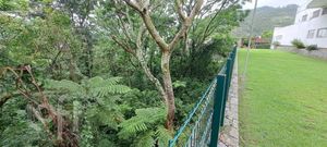 Image 6 - 814138