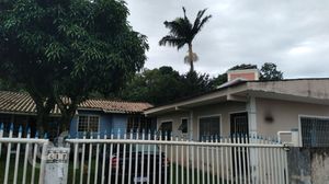 Image 0 - 816186