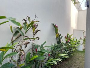 Image 15 - 816947