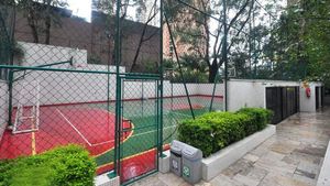 Image 43 - 818277