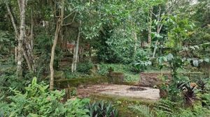 Image 9 - 818455