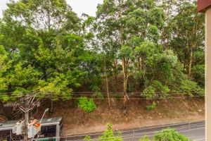 Image 9 - 818796