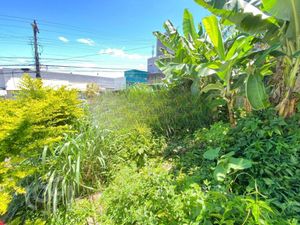 Image 9 - 819870