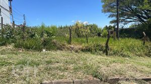 Image 4 - 820728