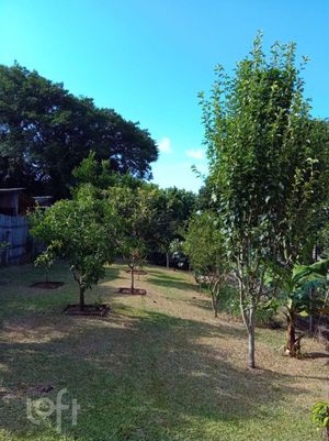 Image 22 - 821164