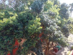 Image 9 - 821513