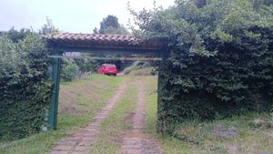 Image 3 - 821697
