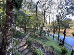 Image 12 - 822250