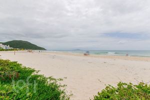 Image 32 - 823894