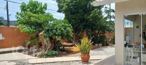 Image 3 - 825347