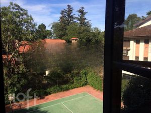 Image 19 - 826239