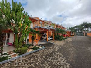 Image 5 - 826248