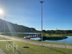Image 33 - 826339