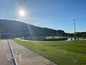 Image 31 - 826339