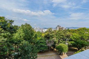 Image 5 - 826356