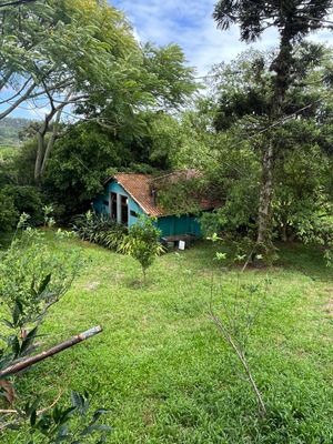 Image 29 - 826381