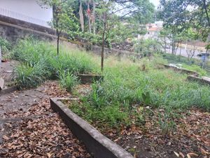 Image 4 - 826407