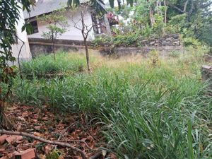 Image 6 - 826407