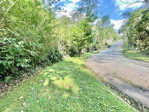 Image 6 - 826482