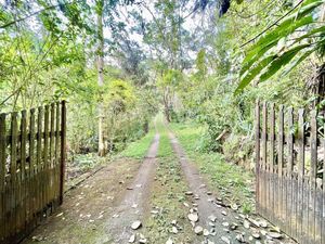 Image 8 - 826482