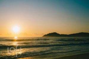 Image 10 - 827468