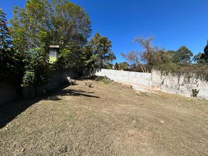 Image 6 - 828883