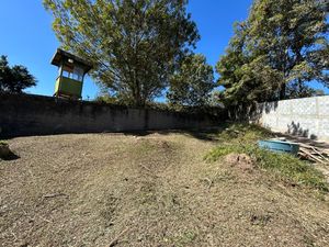 Image 5 - 828883