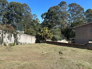 Image 7 - 828883
