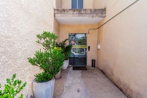 Image 37 - 829155