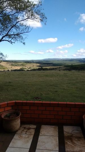 Image 13 - 830022