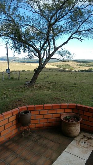 Image 12 - 830022
