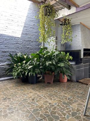 Image 7 - 830031
