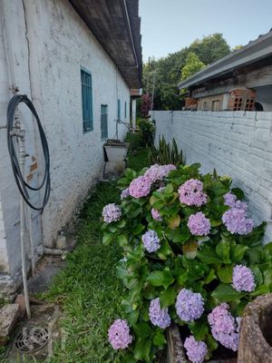 Image 4 - 831118