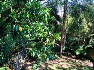 Image 19 - 831804